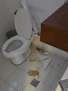 The Exploding Toilet Disaster The Toilet Disaster!